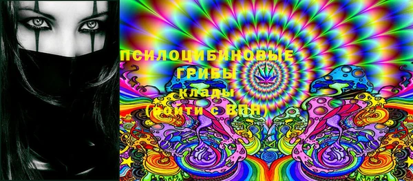 apvp Осташков