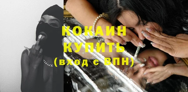 дживик Осинники